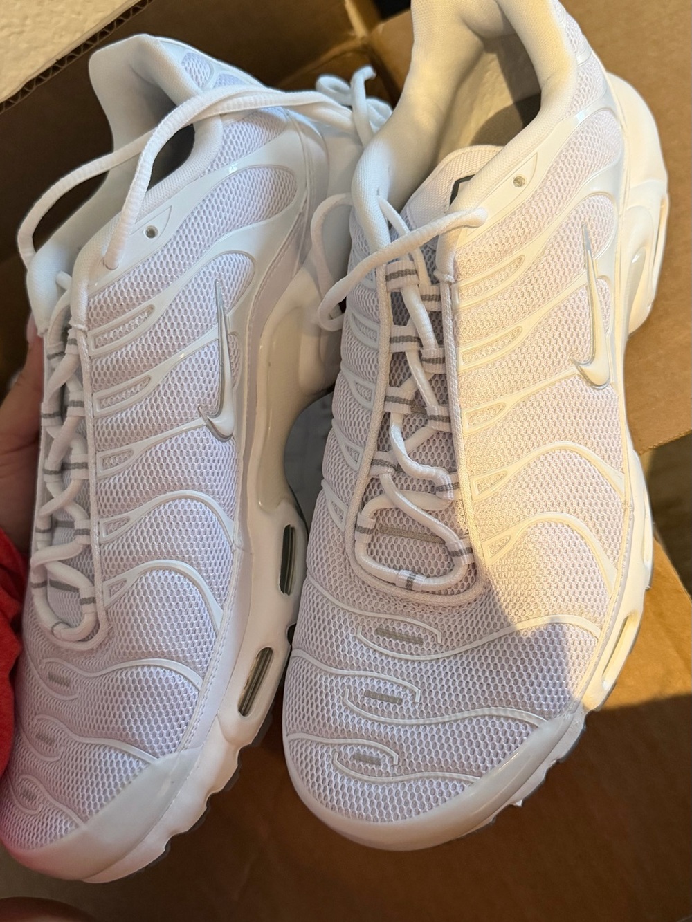 Nike White Mesh Air Max Plus Sneakers